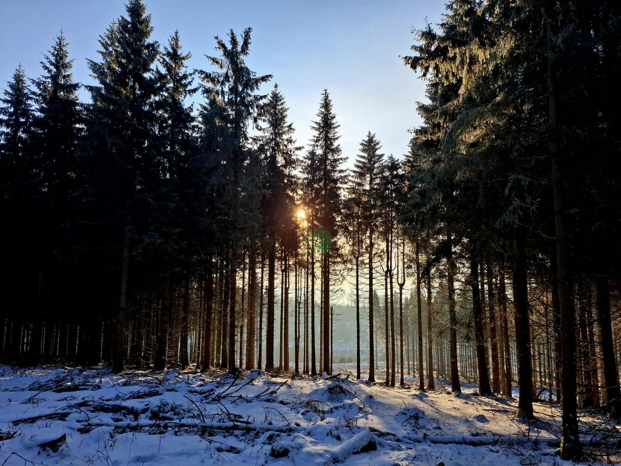 Haus Astenberg Winterberg Exteriör bild